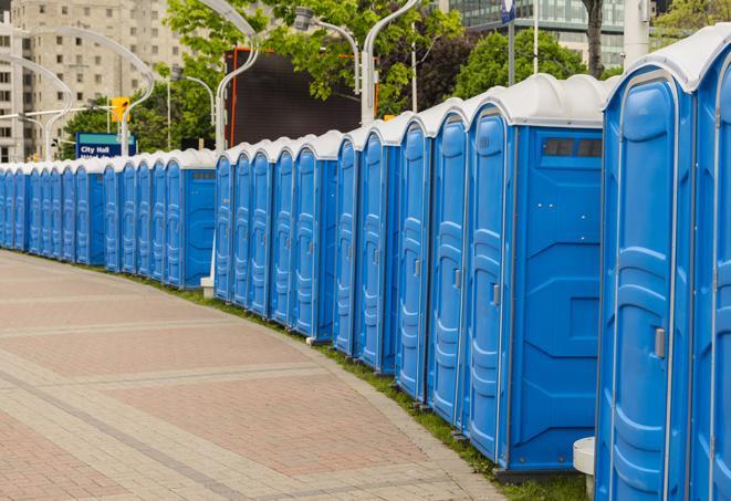 Seasonal porta potty units set up at a Espanola, New Mexico venue